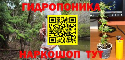 ешки Гагарин