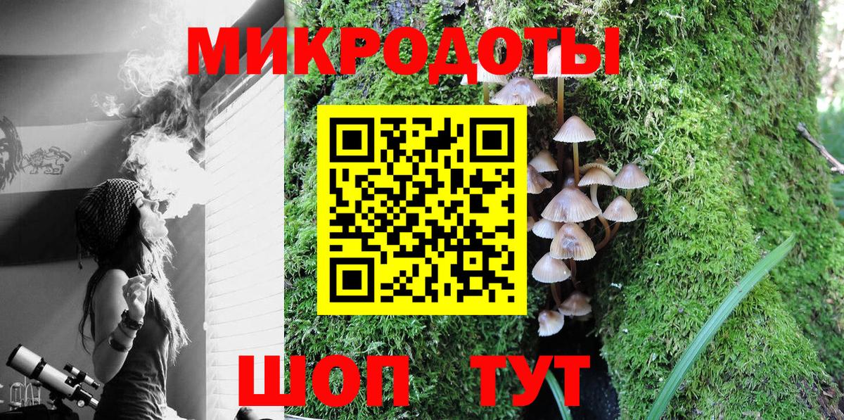 Псилоцибиновые грибы Psilocybine cubensis Белорецк
