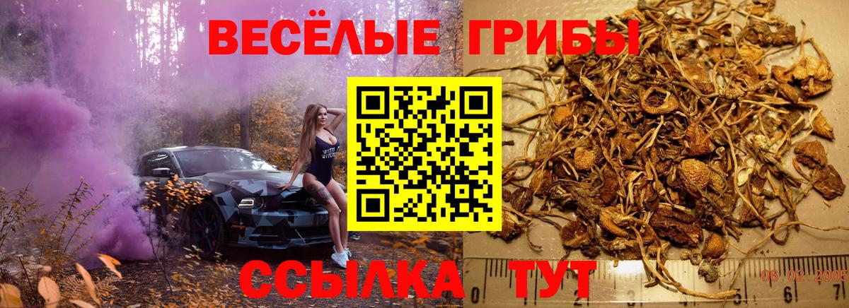 Галлюциногенные грибы мухоморы  купить   Белорецк  Вход с VPN 
